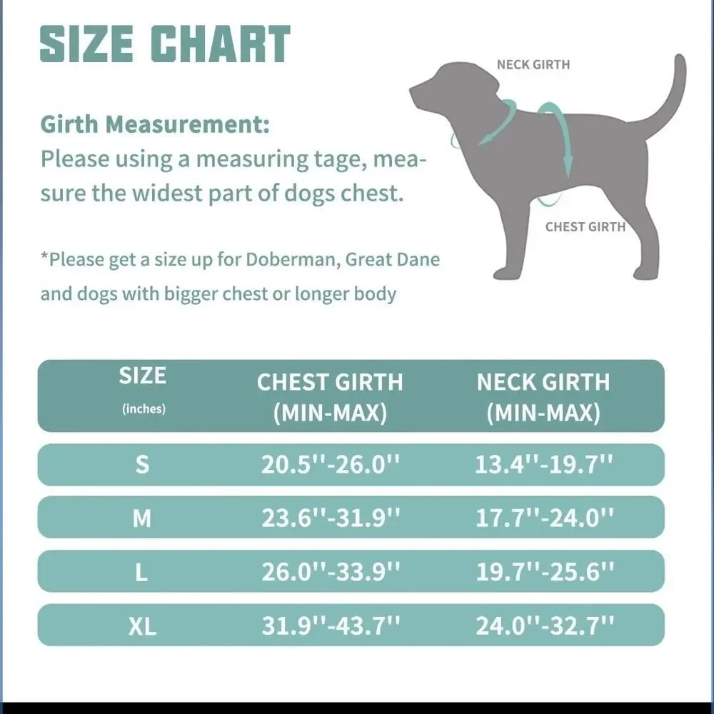 Dog Harness Set